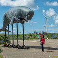 Life size model of a sperm whale (1953 visite) Life size model of a sperm whale